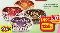 CARTE D'OR SELECTİON DONDURMA ÇEŞİTLERİ 800 ML